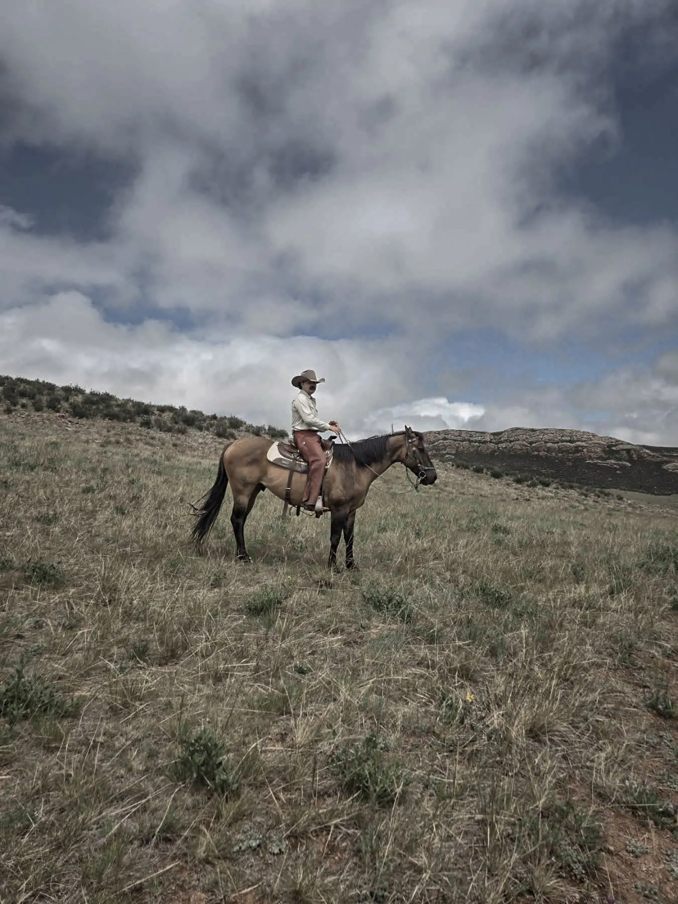 A horseman riding a young horse through open Wyoming country